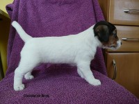 /album/fotogalerie/claudie-de-breij-postoj-jpg/